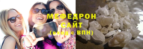 индика Дмитриев