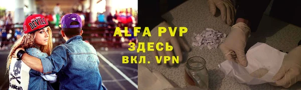 индика Дмитриев