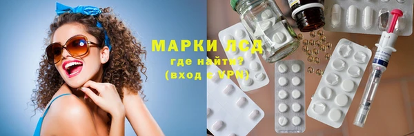 индика Дмитриев