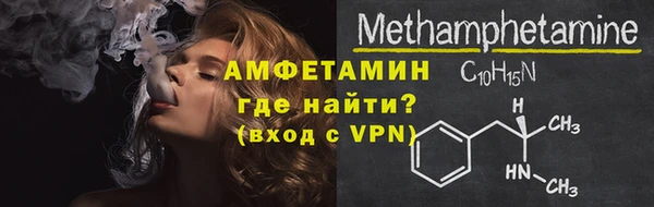 индика Дмитриев
