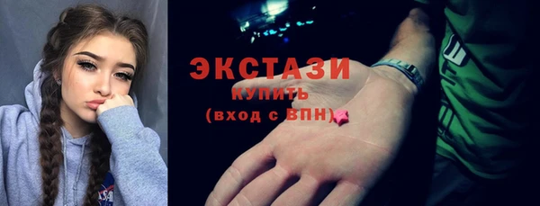 индика Дмитриев