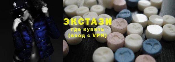 индика Дмитриев