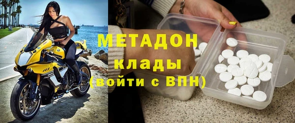 индика Дмитриев