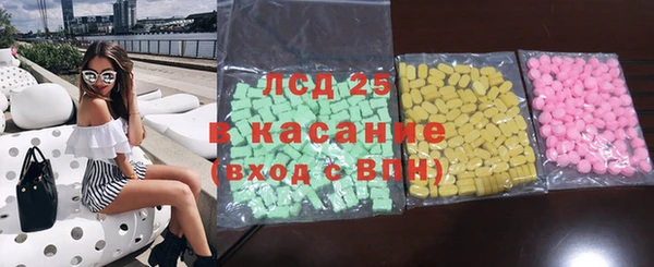 индика Дмитриев