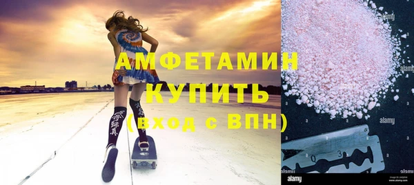 индика Дмитриев