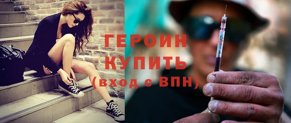 индика Дмитриев