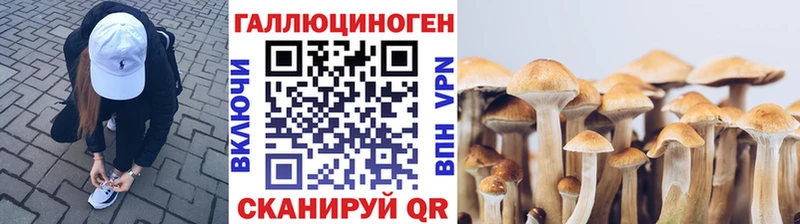 Купить закладки  Белово  Галлюциногенные грибы мухоморы 