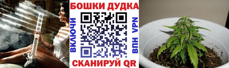Купить где  Белово  Бошки марихуана гибрид 
